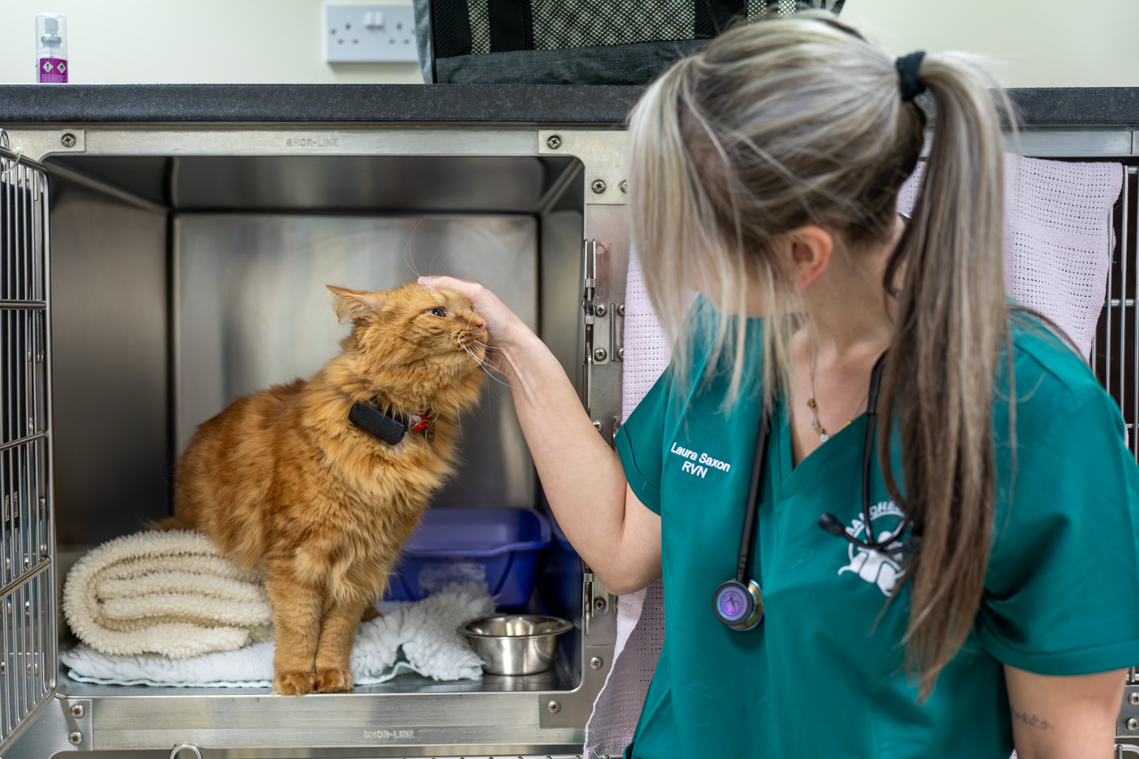 Manchester Vet Centre - Willows Vet Group (Web) 047